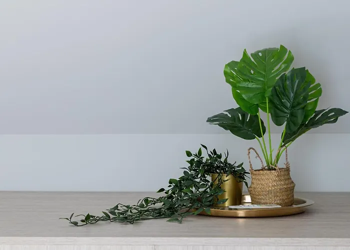 Apartment Sakalo 9 Kotedzas Palangoje *